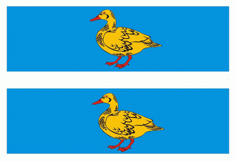 Флаг муниципального образования Яранский муниципальный район.